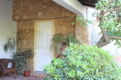 Villa a Estarreja, Aveiro, Estarreja - € 320.000 | Ref: AV22/144 - foto 12