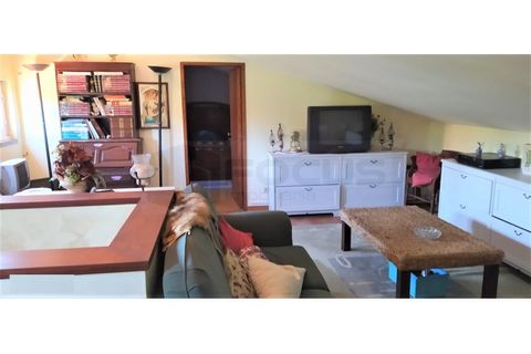 Villa a Estarreja, Aveiro, Estarreja - € 320.000 | Ref: AV22/144 - foto 14