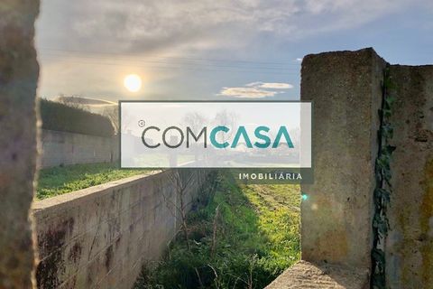 Terra a Maia, Porto, Maia - € 1.250/mes | Ref: 0550 - foto 2
