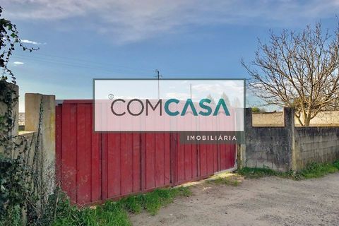 Terra a Maia, Porto, Maia - € 1.250/mes | Ref: 0550 - foto 3