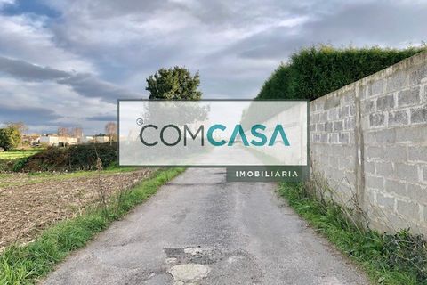 Terra a Maia, Porto, Maia - € 1.250/mes | Ref: 0550 - foto 4