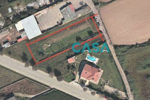 Terra a Maia, Porto, Maia - € 1.250/mes | Ref: 0550 - foto 8