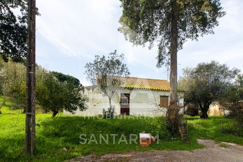 Terra a Chamusca, Santarem, Chamusca - € 120.000 | Ref: 12156 - foto 2