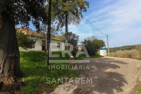 Terra a Chamusca, Santarem, Chamusca - € 120.000 | Ref: 12156 - foto 3