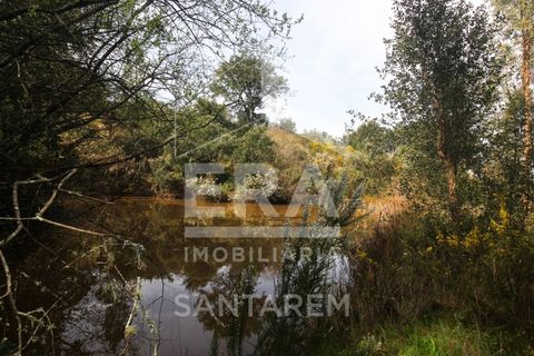 Terra a Chamusca, Santarem, Chamusca - € 120.000 | Ref: 12156 - foto 15