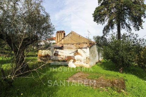 Terra a Chamusca, Santarem, Chamusca - € 120.000 | Ref: 12156 - foto 16