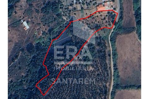 Terra a Chamusca, Santarem, Chamusca - € 120.000 | Ref: 12156 - foto 20