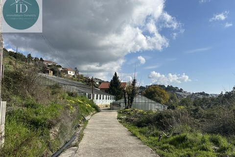 Villa i Sanremo, Imperia, Sanremo - € 430.000 | Ref: 225 - foto 12