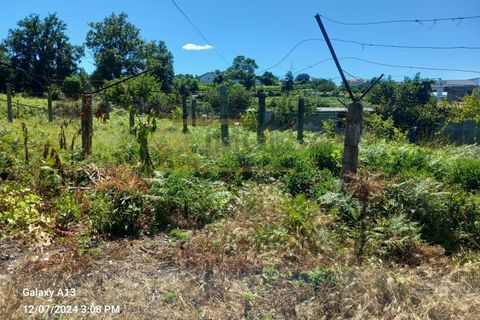 Helårsgrund i Bela, Viana do Castelo, Bela - € 58.000 | Ref: REF467 - foto 4