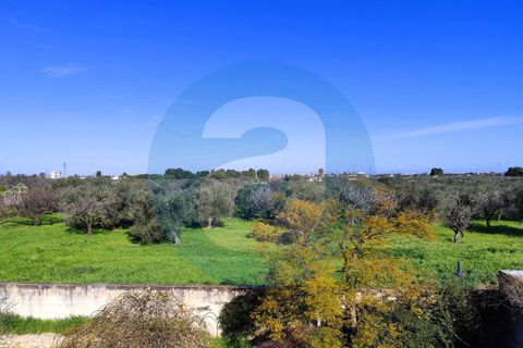 Villa a Valenzano, Bari, Valenzano - € 445.000 | Ref: Villa_Strada_Triggiano_Ceglie_Capurso - foto 36