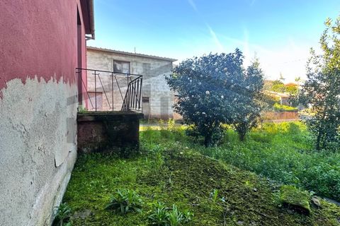 Villa i Mortagua, Viseu, Mortagua - € 58.500 | Ref: m2H1095 - foto 11