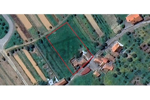 Villa i Mortagua, Viseu, Mortagua - € 58.500 | Ref: m2H1095 - foto 14