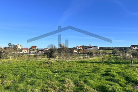 Villa i Mortagua, Viseu, Mortagua - € 58.500 | Ref: m2H1095 - foto 15