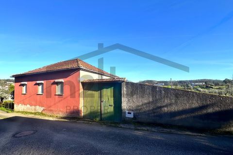 Villa i Mortagua, Viseu, Mortagua - € 58.500 | Ref: m2H1095 - foto 18