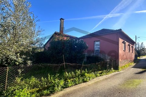 Villa i Mortagua, Viseu, Mortagua - € 58.500 | Ref: m2H1095 - foto 20