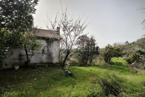 Landejendom i Mangualde, Viseu, Mangualde - € 150.000 | Ref: 389250227 - foto 2
