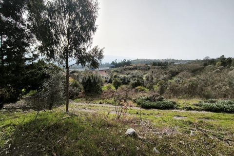 Landejendom i Mangualde, Viseu, Mangualde - € 150.000 | Ref: 389250227 - foto 3