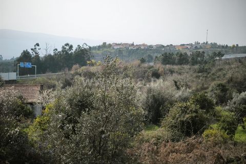 Landejendom i Mangualde, Viseu, Mangualde - € 150.000 | Ref: 389250227 - foto 4