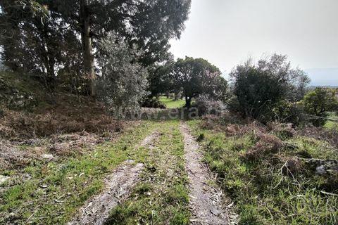 Landejendom i Mangualde, Viseu, Mangualde - € 150.000 | Ref: 389250227 - foto 5