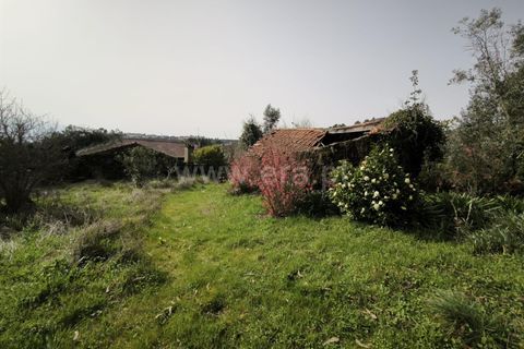 Landejendom i Mangualde, Viseu, Mangualde - € 150.000 | Ref: 389250227 - foto 6