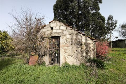 Landejendom i Mangualde, Viseu, Mangualde - € 150.000 | Ref: 389250227 - foto 7