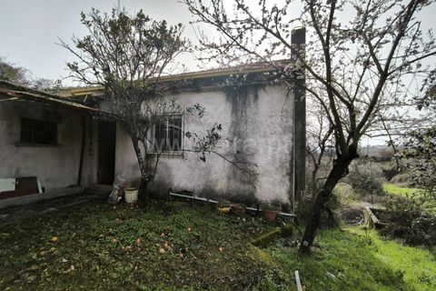 Landejendom i Mangualde, Viseu, Mangualde - € 150.000 | Ref: 389250227 - foto 8