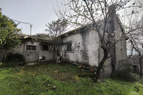 Landejendom i Mangualde, Viseu, Mangualde - € 150.000 | Ref: 389250227 - foto 1