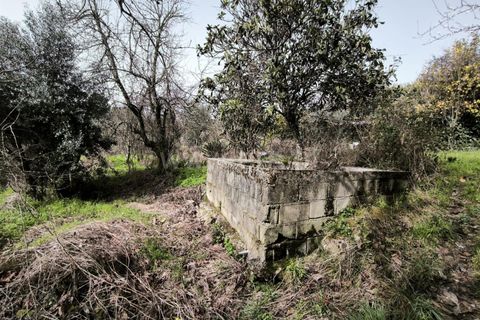 Landejendom i Mangualde, Viseu, Mangualde - € 150.000 | Ref: 389250227 - foto 17