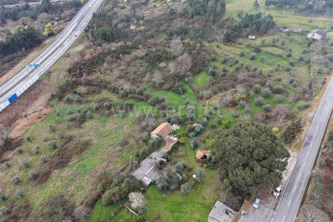 Landejendom i Mangualde, Viseu, Mangualde - € 150.000 | Ref: 389250227 - foto 19