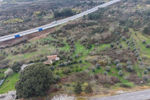Landejendom i Mangualde, Viseu, Mangualde - € 150.000 | Ref: 389250227 - foto 20