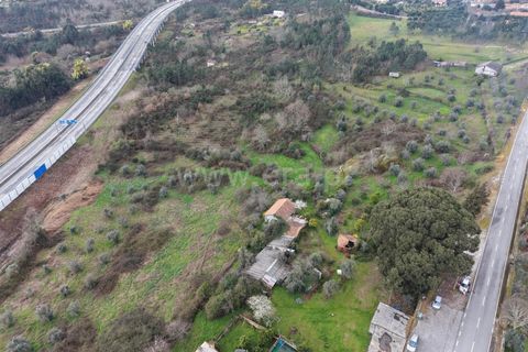 Landejendom i Mangualde, Viseu, Mangualde - € 150.000 | Ref: 389250227 - foto 21