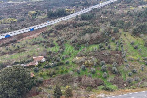 Landejendom i Mangualde, Viseu, Mangualde - € 150.000 | Ref: 389250227 - foto 22