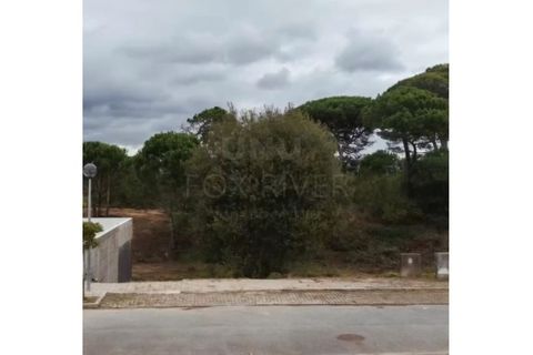 Helårsgrund i Darque, Viana do Castelo, Darque - € 65.000 | Ref: UNU-F3-72-29 - foto 2