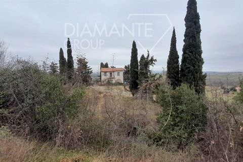 Farm i Scansano, Grosseto, Scansano - € 400.000 | Ref: AZ401 - foto 3