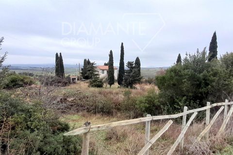 Farm i Scansano, Grosseto, Scansano - € 400.000 | Ref: AZ401 - foto 4