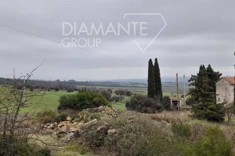 Farm i Scansano, Grosseto, Scansano - € 400.000 | Ref: AZ401 - foto 5