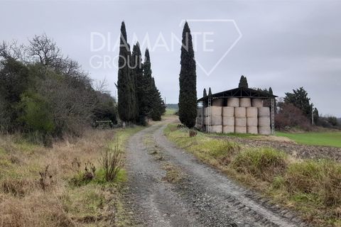 Farm i Scansano, Grosseto, Scansano - € 400.000 | Ref: AZ401 - foto 6