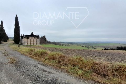 Farm i Scansano, Grosseto, Scansano - € 400.000 | Ref: AZ401 - foto 7