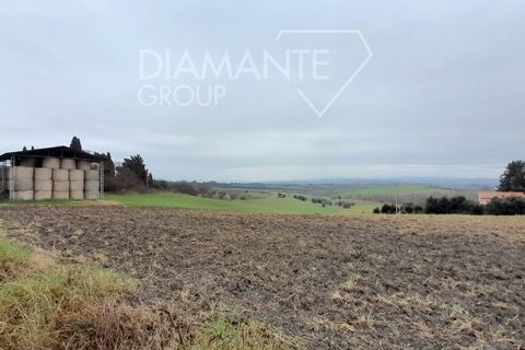 Farm i Scansano, Grosseto, Scansano - € 400.000 | Ref: AZ401 - foto 8