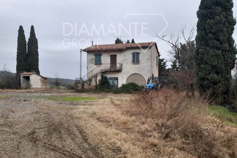 Farm i Scansano, Grosseto, Scansano - € 400.000 | Ref: AZ401 - foto 10