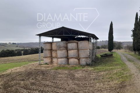 Farm i Scansano, Grosseto, Scansano - € 400.000 | Ref: AZ401 - foto 11