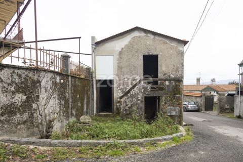 Villa i Sever do Vouga, Aveiro, Sever do Vouga - € 47.000 | Ref: ZMPT586117 - foto 14