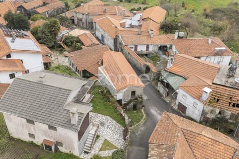 Villa i Sever do Vouga, Aveiro, Sever do Vouga - € 47.000 | Ref: ZMPT586117 - foto 19