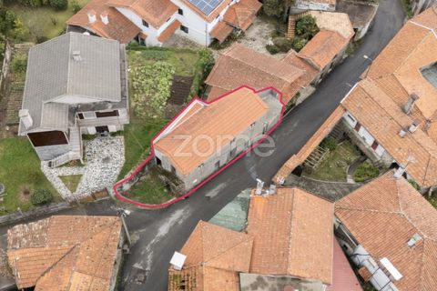Villa i Sever do Vouga, Aveiro, Sever do Vouga - € 47.000 | Ref: ZMPT586117 - foto 21