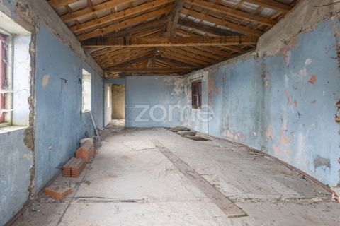 Villa i Sever do Vouga, Aveiro, Sever do Vouga - € 47.000 | Ref: ZMPT586117 - foto 6