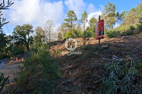 Helårsgrund i Vila do Conde, Porto, Vila do Conde - € 120.000 | Ref: 240-T-26139 - foto 12