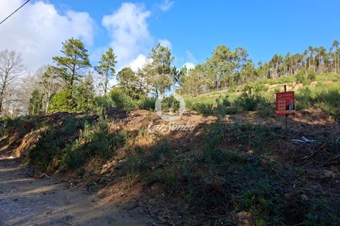 Helårsgrund i Vila do Conde, Porto, Vila do Conde - € 120.000 | Ref: 240-T-26139 - foto 14