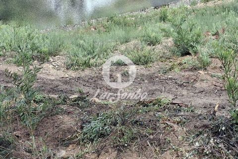 Helårsgrund i Vila do Conde, Porto, Vila do Conde - € 120.000 | Ref: 240-T-26139 - foto 17