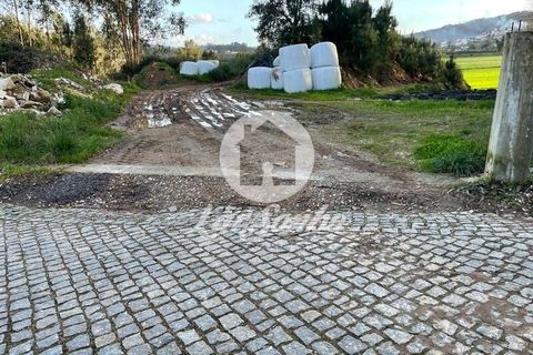 Helårsgrund i Trofa, Porto, Trofa - € 98.000 | Ref: 240-T-26150 - foto 2