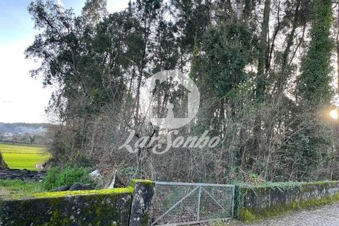 Helårsgrund i Trofa, Porto, Trofa - € 98.000 | Ref: 240-T-26150 - foto 3